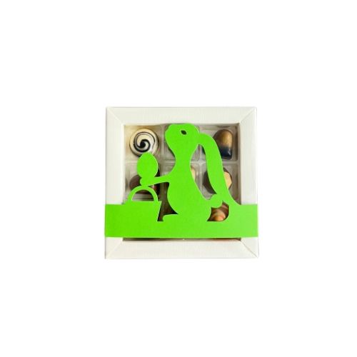 9er Pralinenbox "Hase grün"