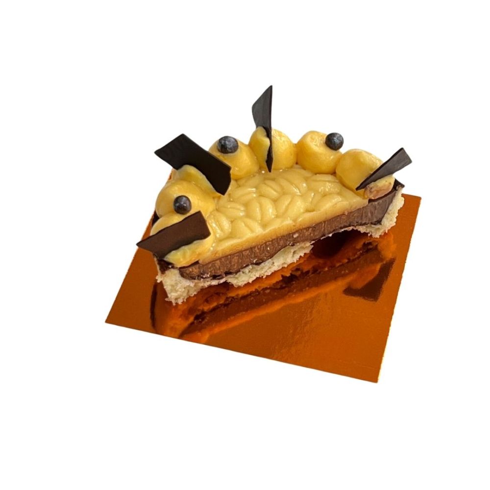 Querschnitt Zitruszauber