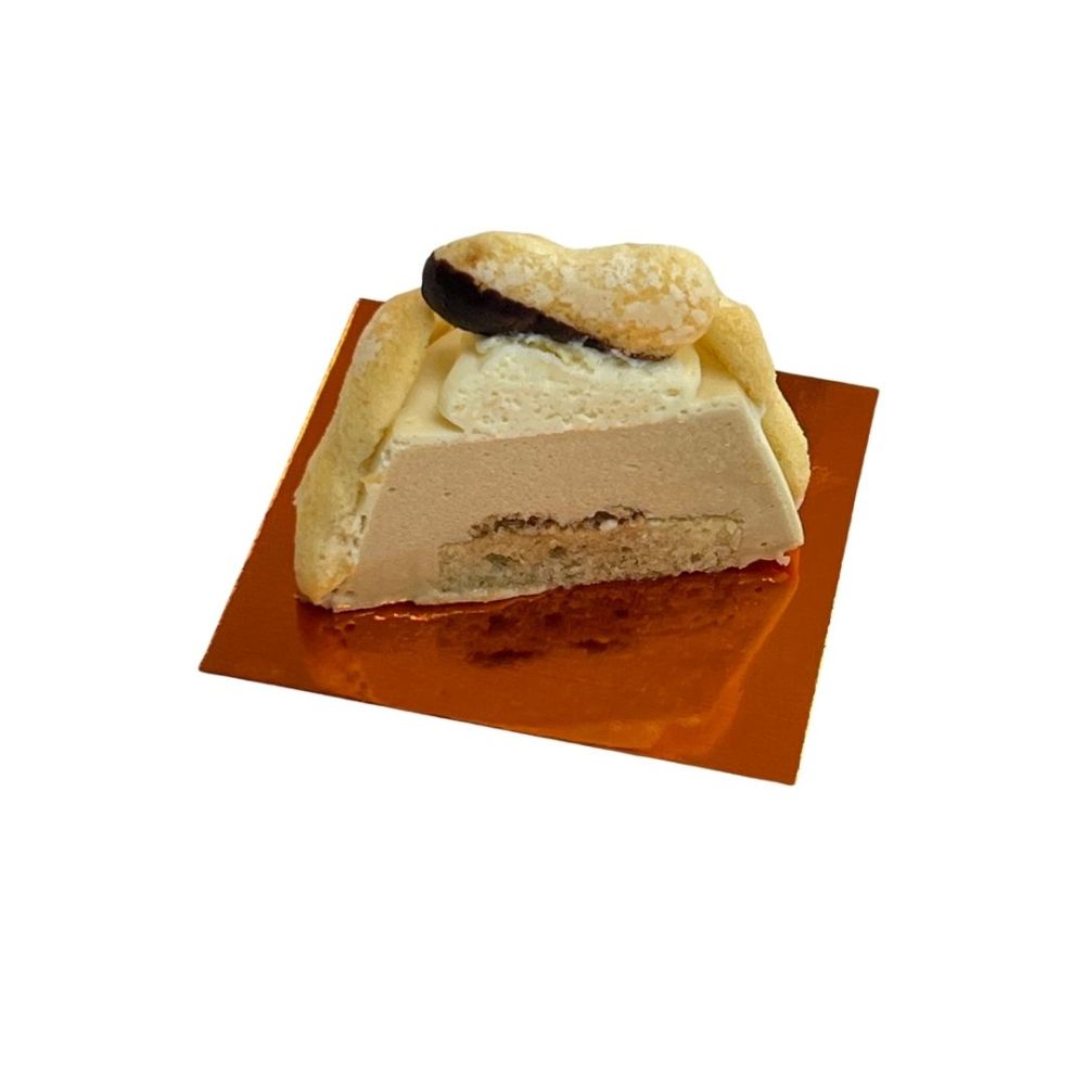 Querschitt Malakof
