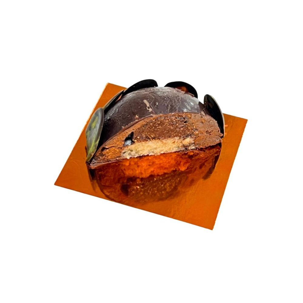 Querschnitt Drachenkopf